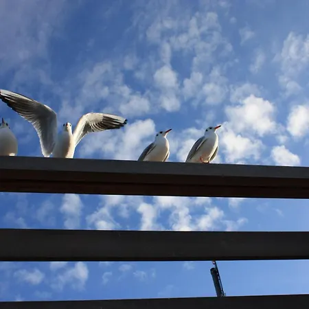 Strandschloesschen-haus-ii-we-13-9889 * Kühlungsborn